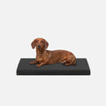 Ripstop Orthopedic Dog Crate Bed, S / Obsidian Black