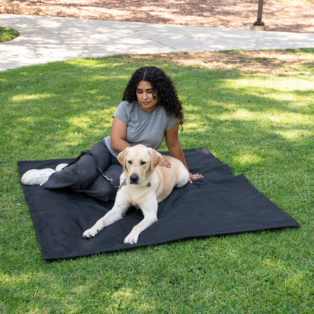 Dog Tarp product image 1