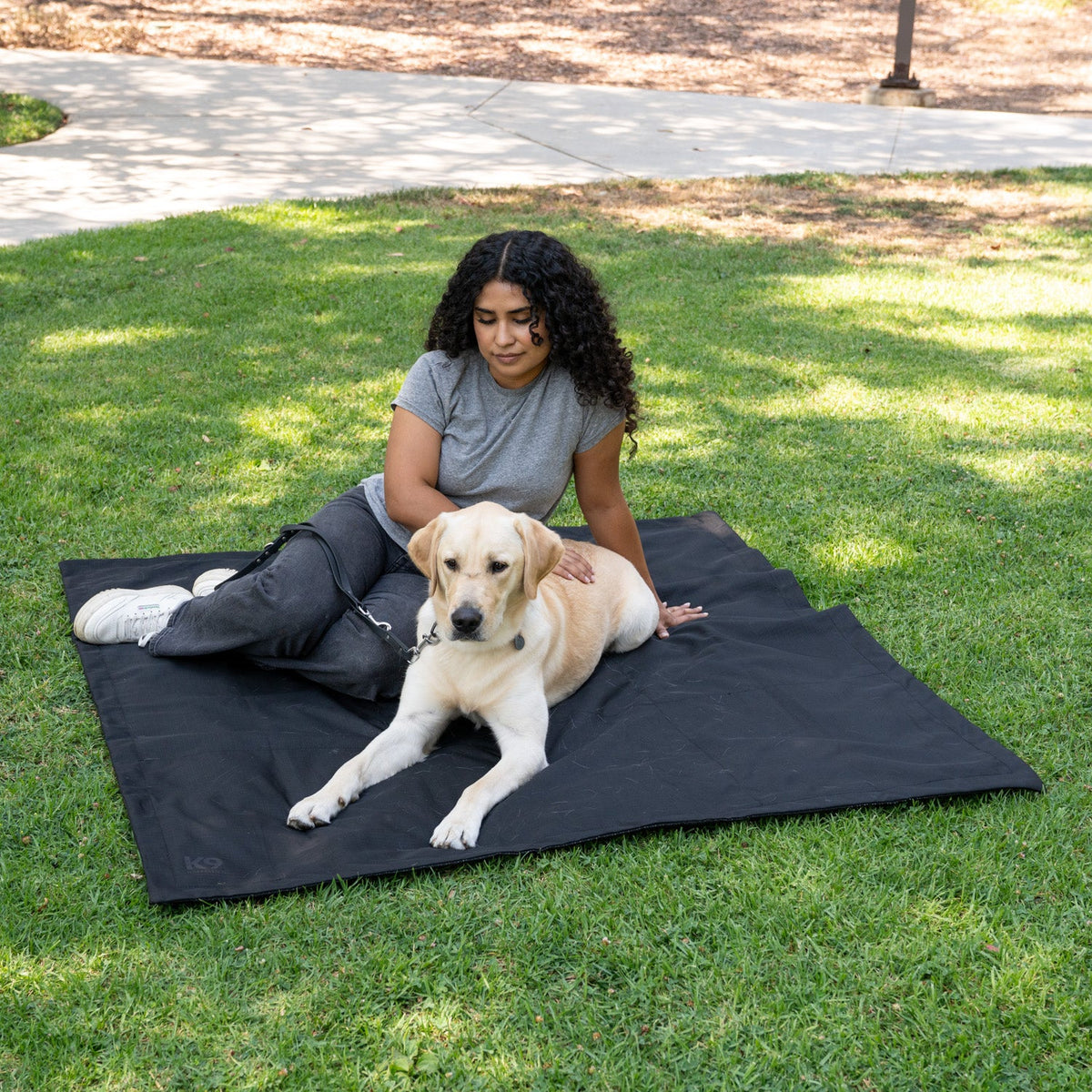 Dog Tarp product image 1
