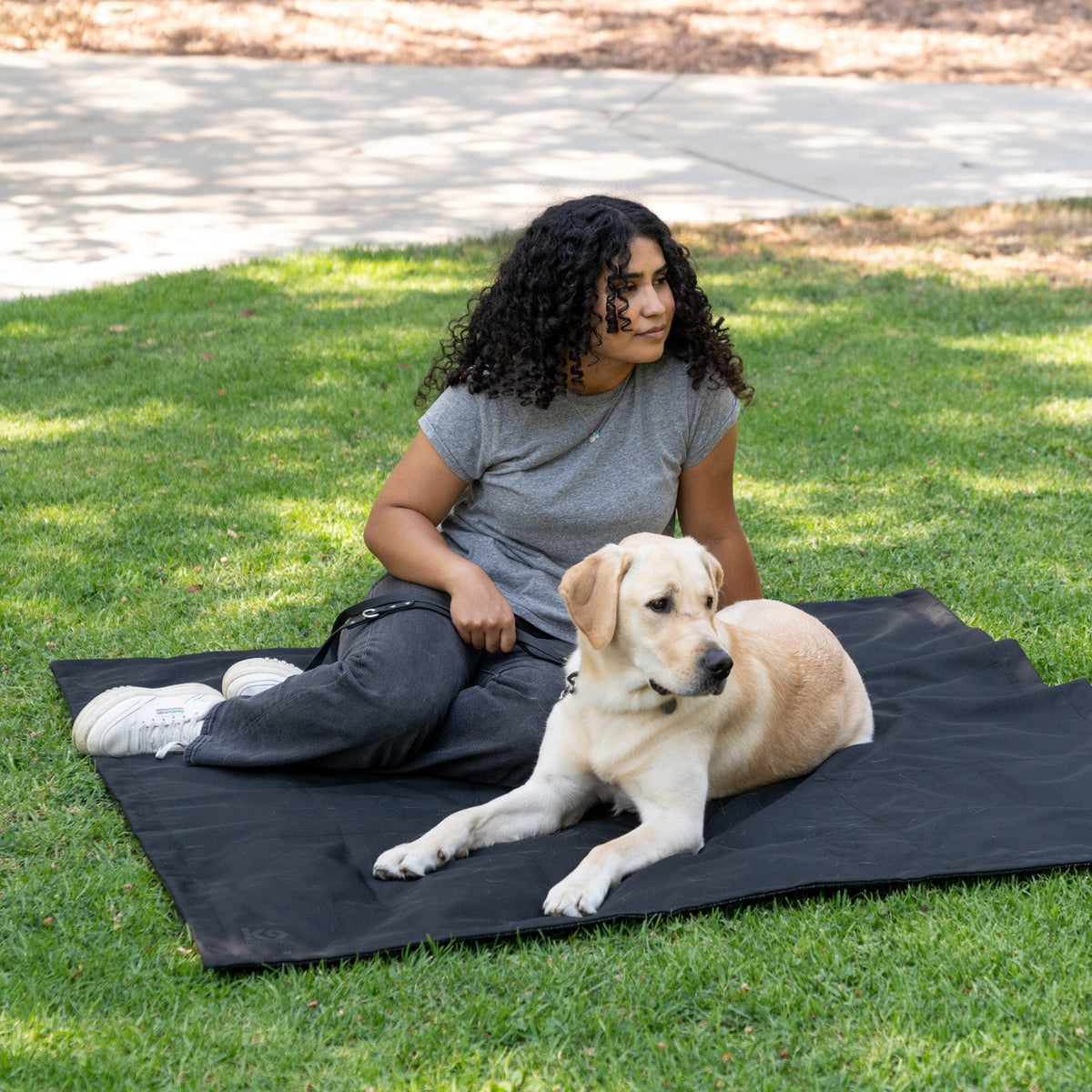 Dog Tarp product image 2