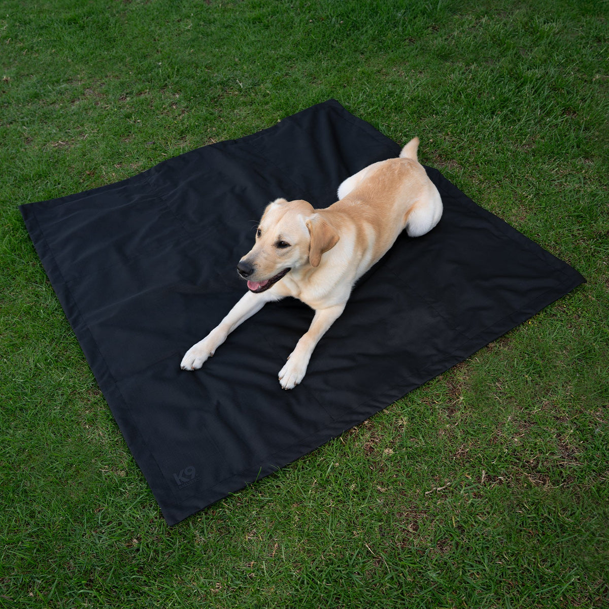 Dog Tarp product image 3