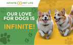 Dog Joint Supplement product image 2