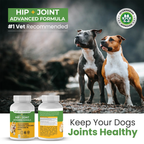 Dog Joint Supplement product image 7