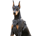 Dog Harness product image 1