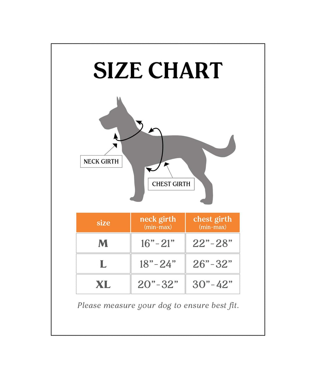 Dog Harness product image 2