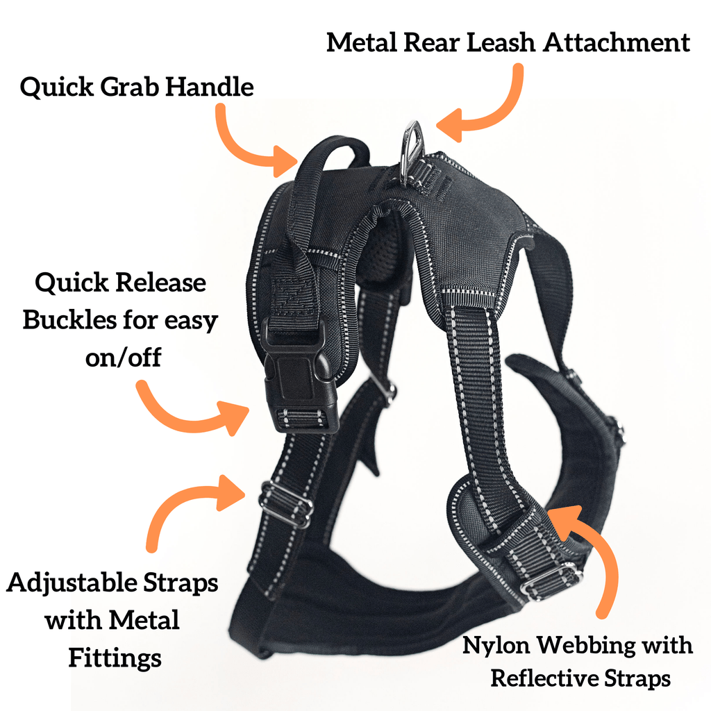 Dog Harness product image 3