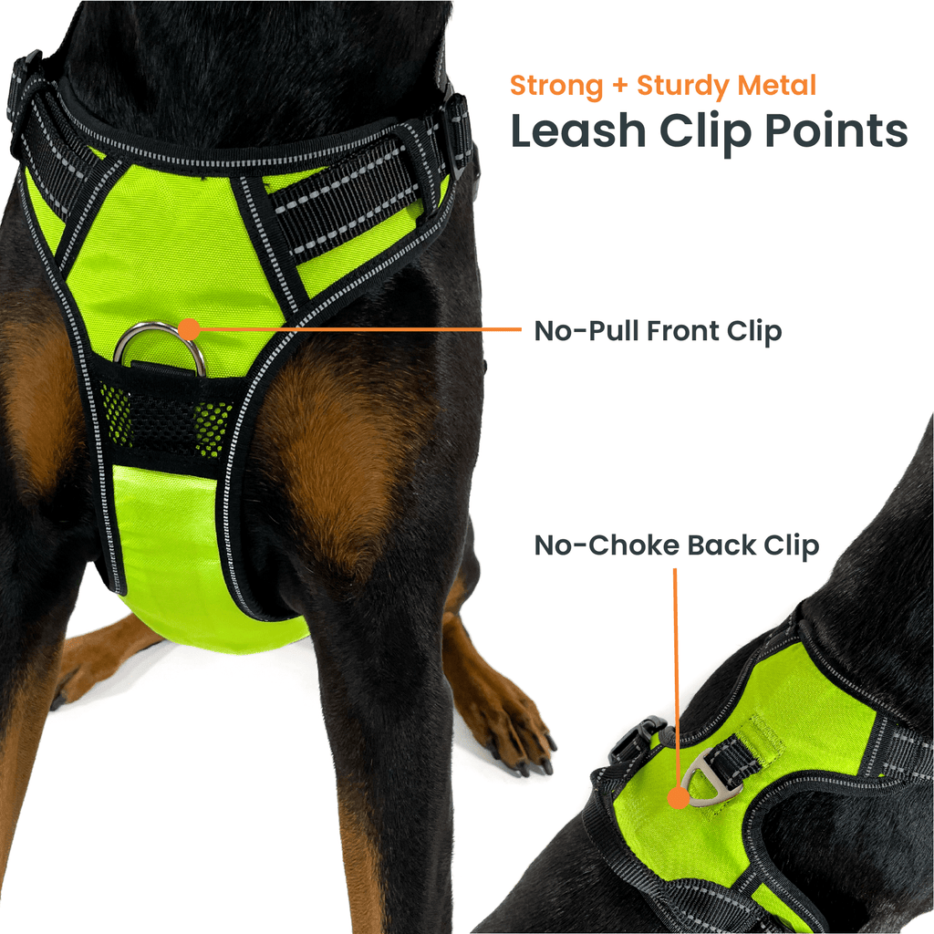 Dog Harness product image 4