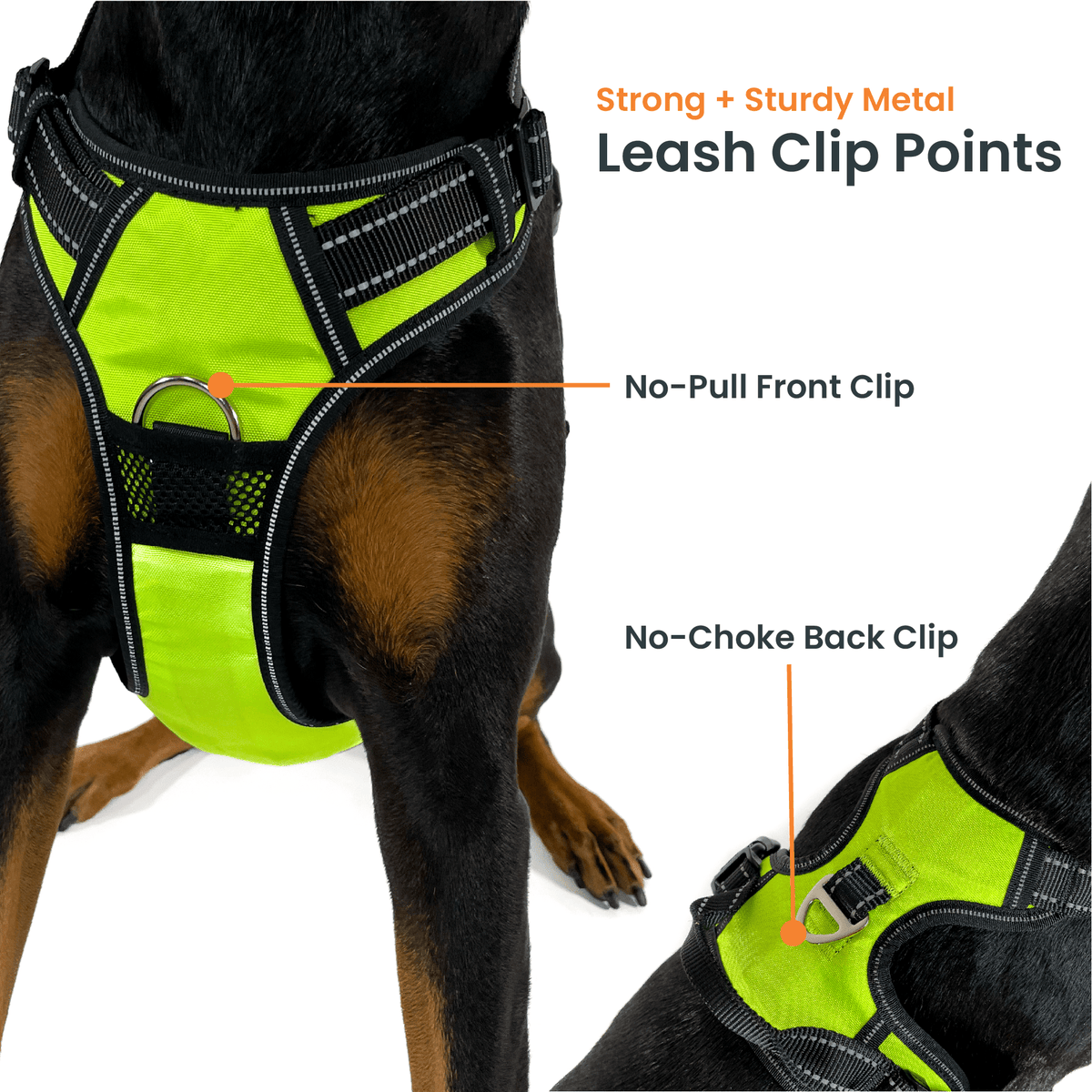 Dog Harness product image 4