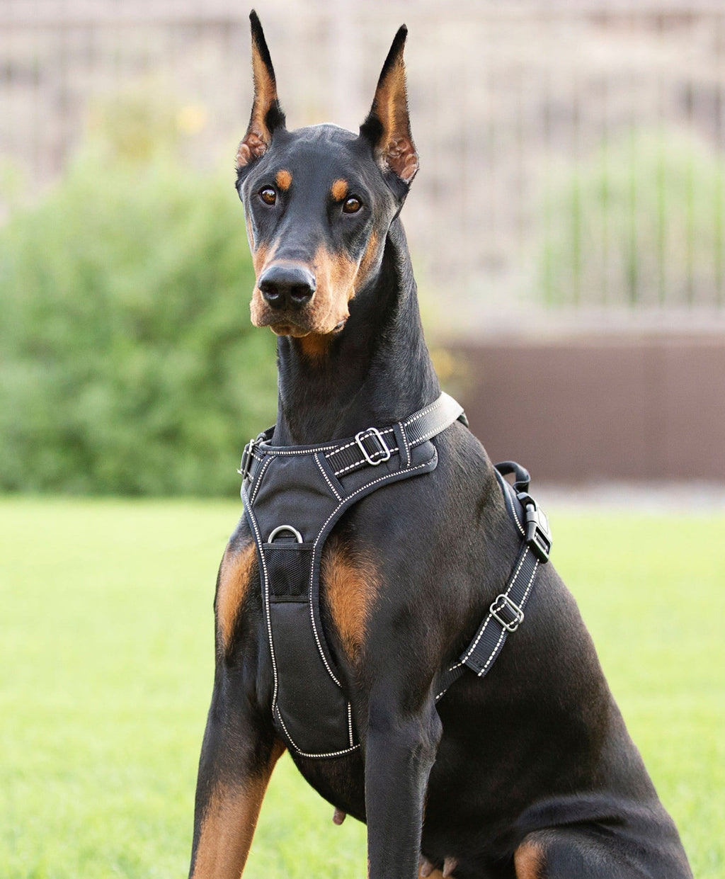 Dog Harness product image 7