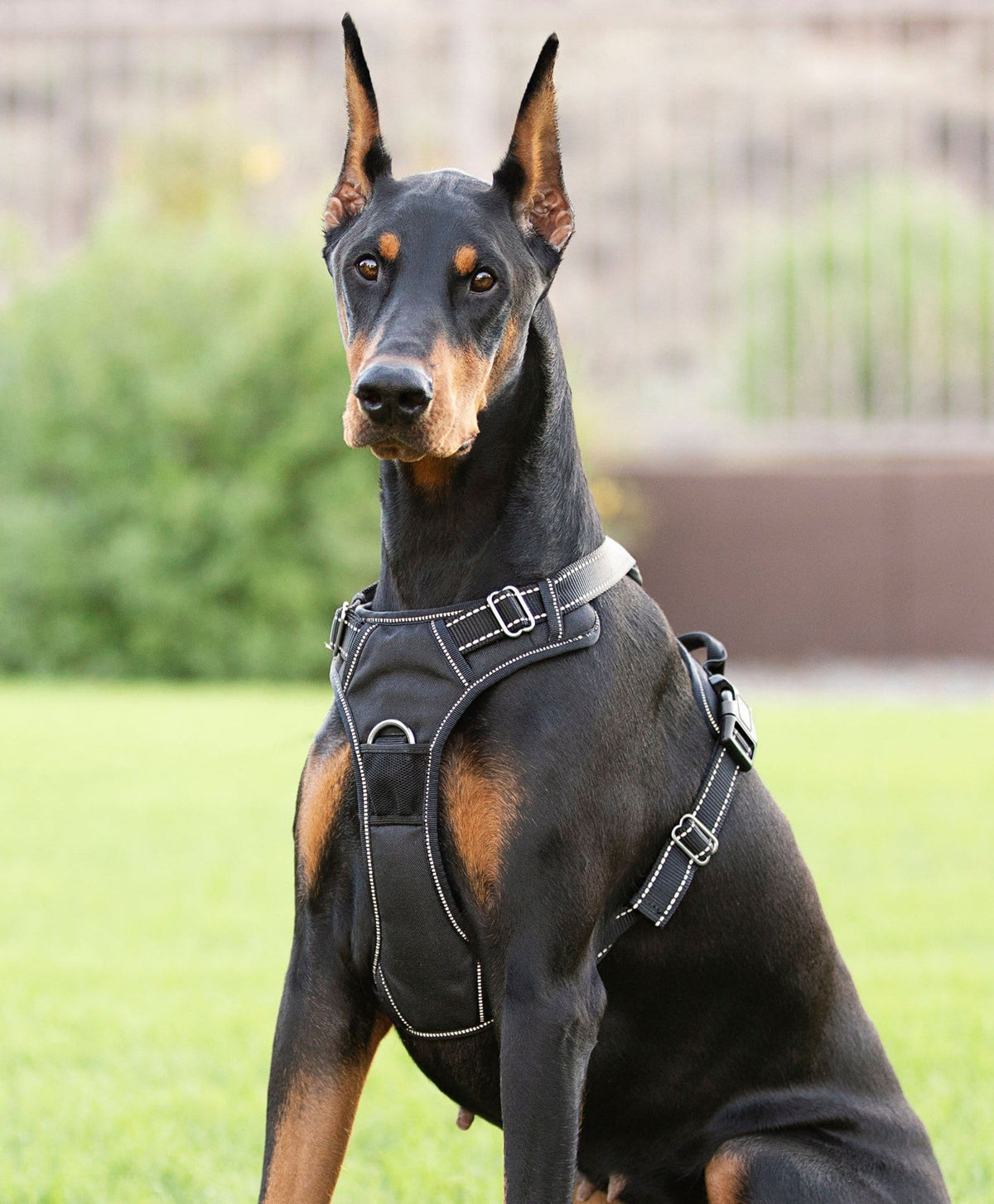 Dog Harness product image 7