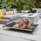 Elevated Dog Bed product image 22