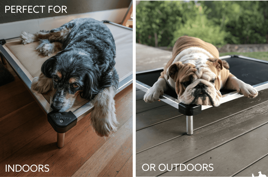 Elevated Dog Bed product image 23