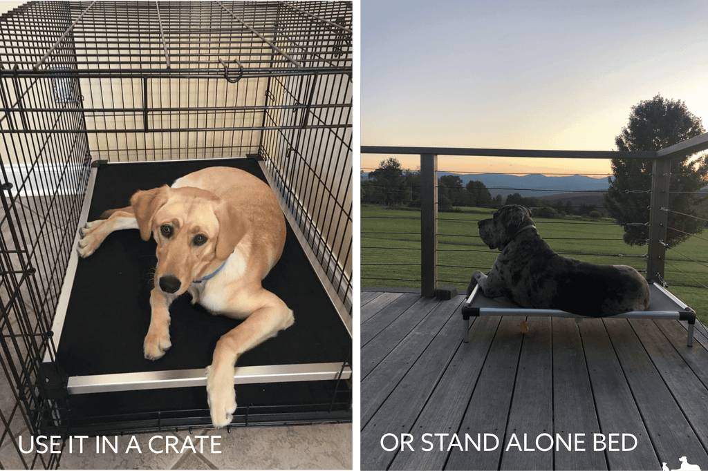 Elevated Dog Bed product image 24