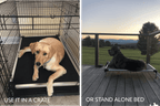 Elevated Dog Bed product image 24