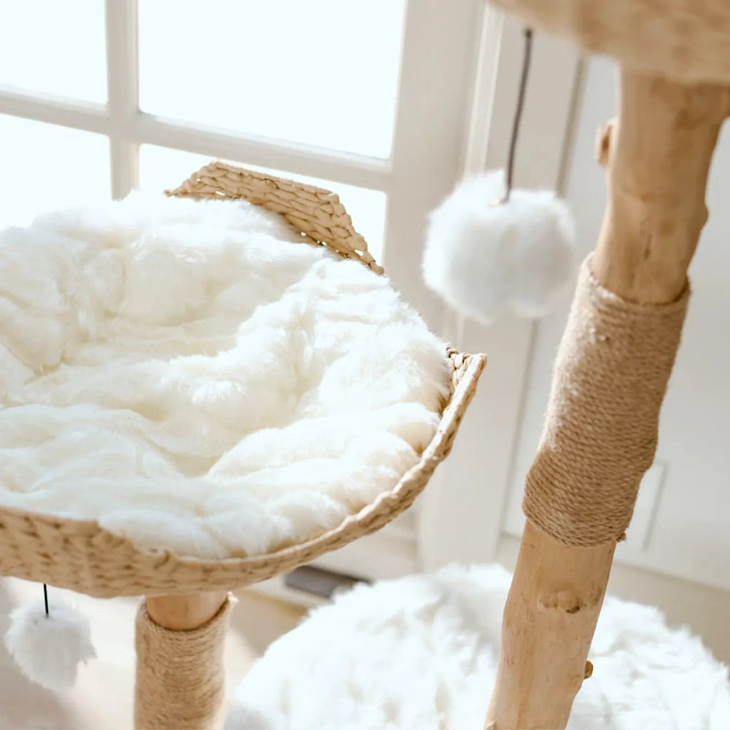Cotton White