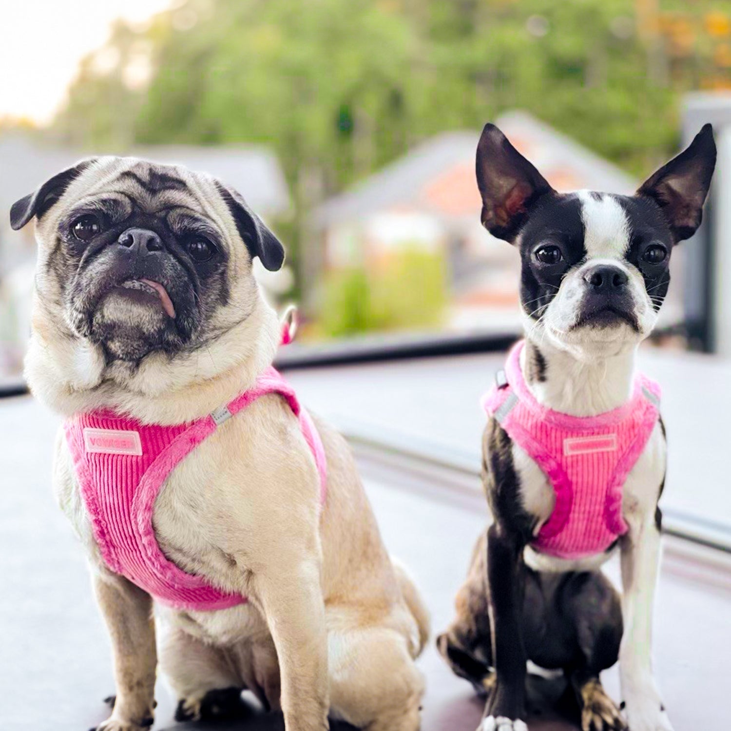 Step-In Dog Harness product image 12