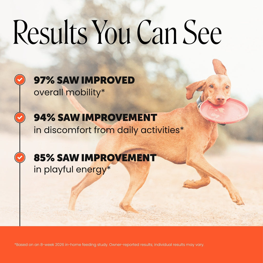 Glucosamine Hip and Joint Soft Chews for Dogs product image 2