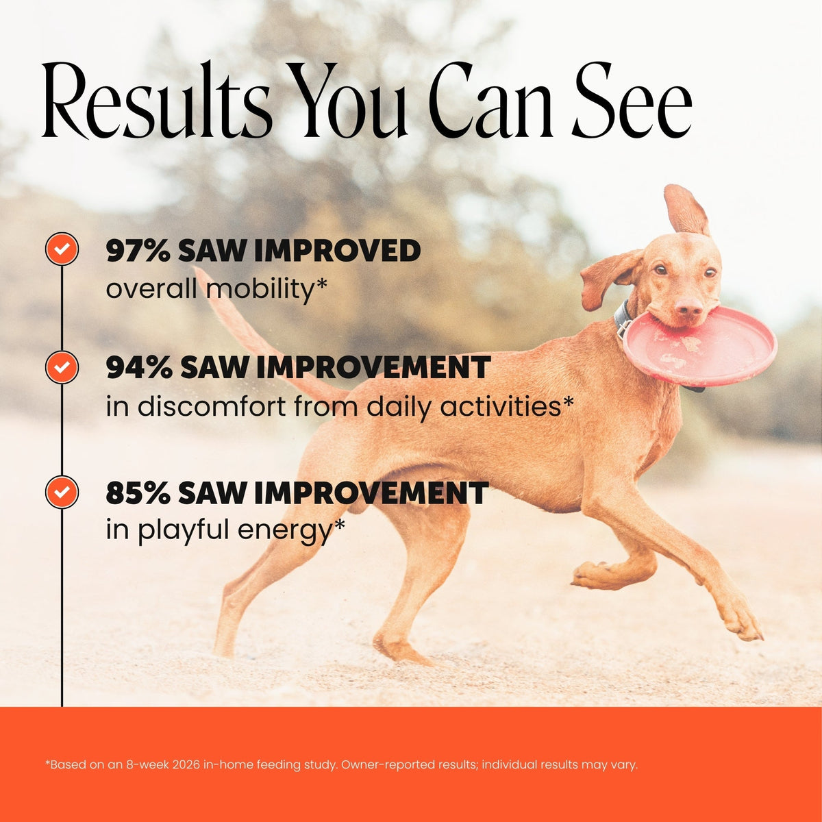 Glucosamine Hip and Joint Soft Chews for Dogs product image 2