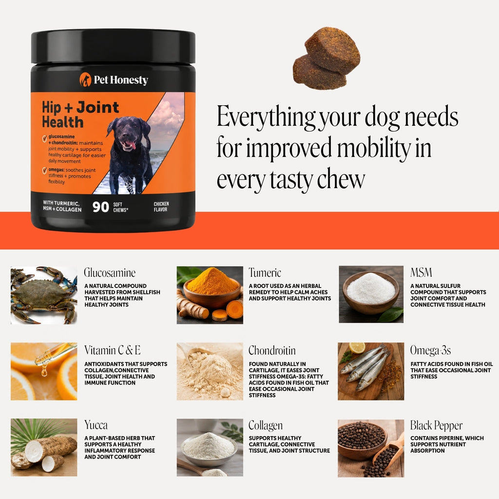 Glucosamine Hip and Joint Soft Chews for Dogs product image 4