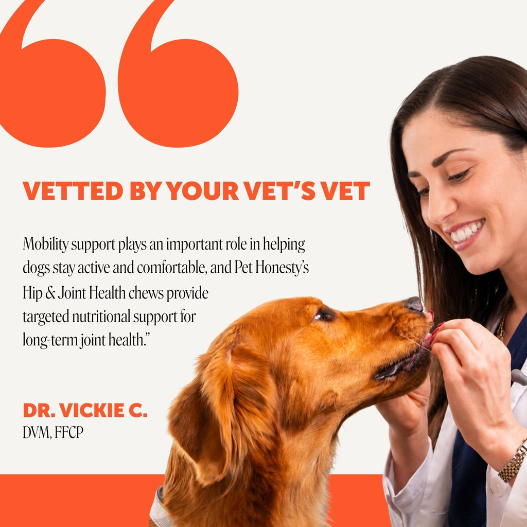Glucosamine Hip and Joint Soft Chews for Dogs product image 5