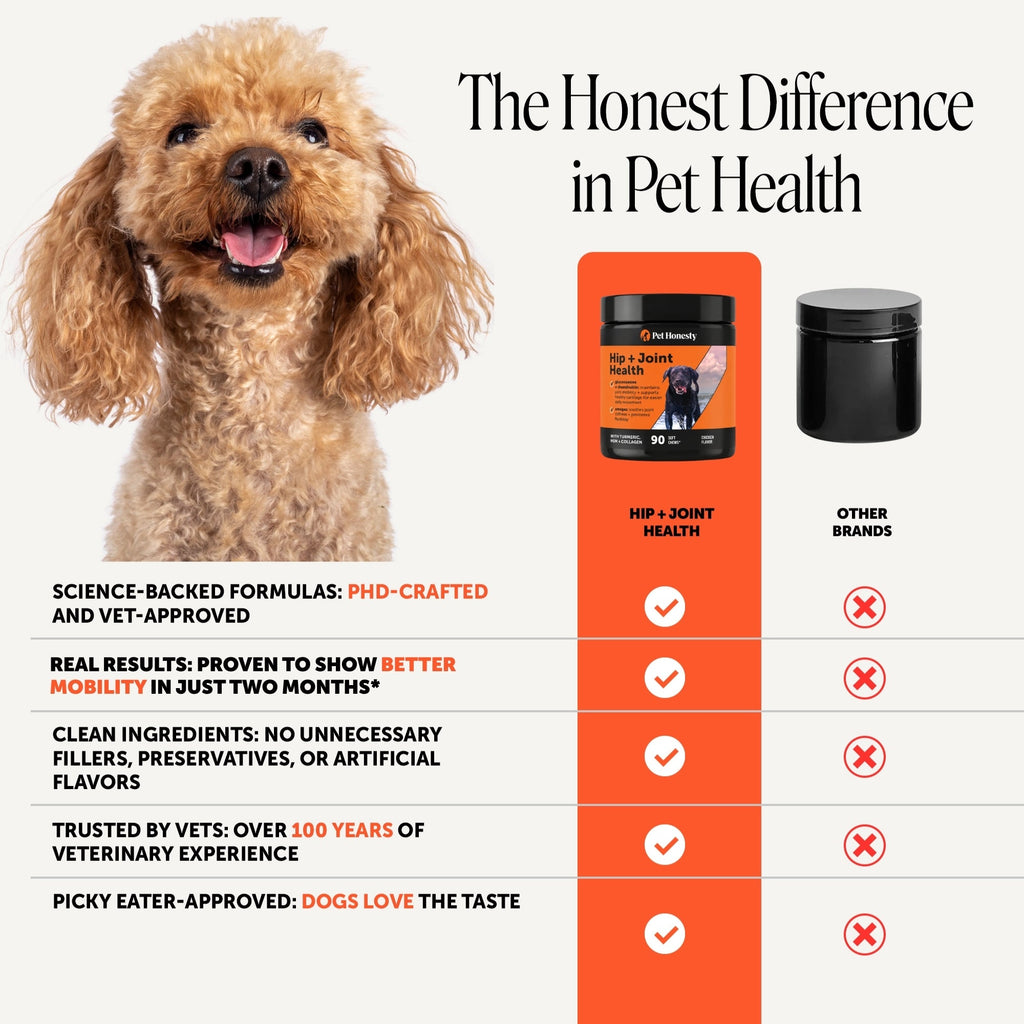 Glucosamine Hip and Joint Soft Chews for Dogs product image 6