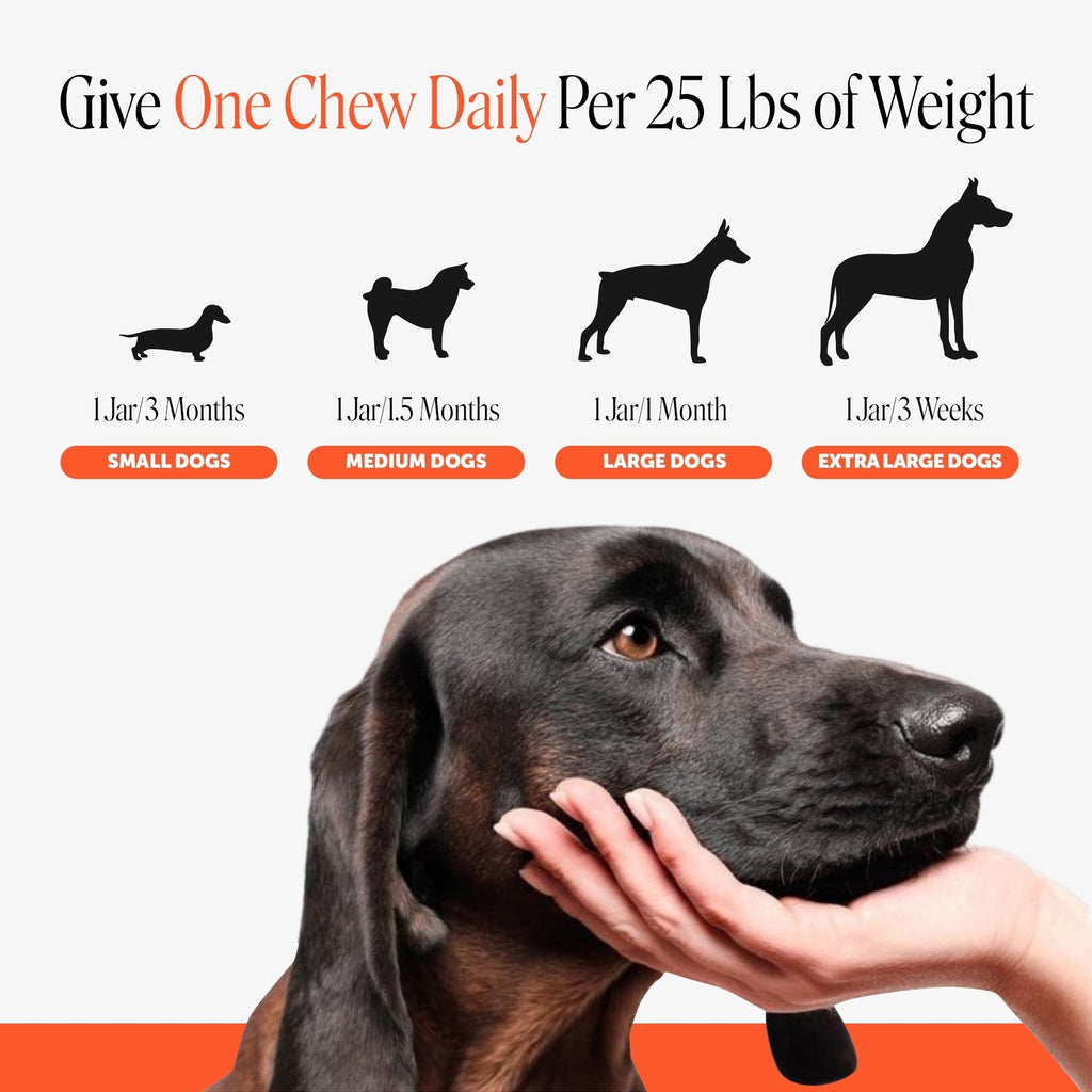 Glucosamine Hip and Joint Soft Chews for Dogs product image 7