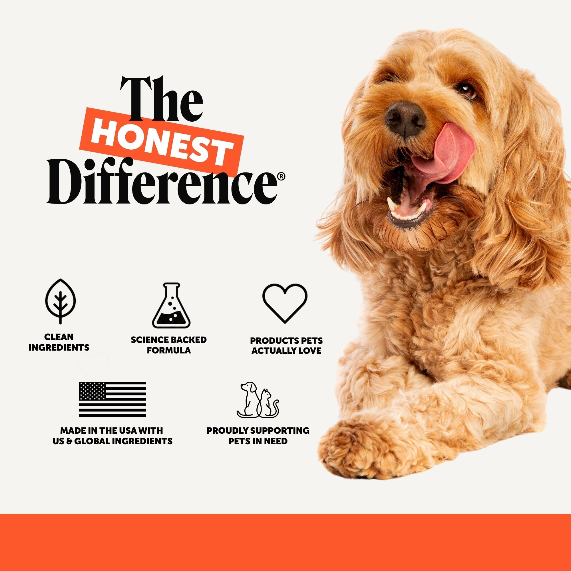 Glucosamine Hip and Joint Soft Chews for Dogs product image 8