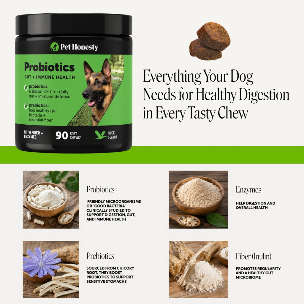 Duck Flavor Dog Probiotic Chews product image 4