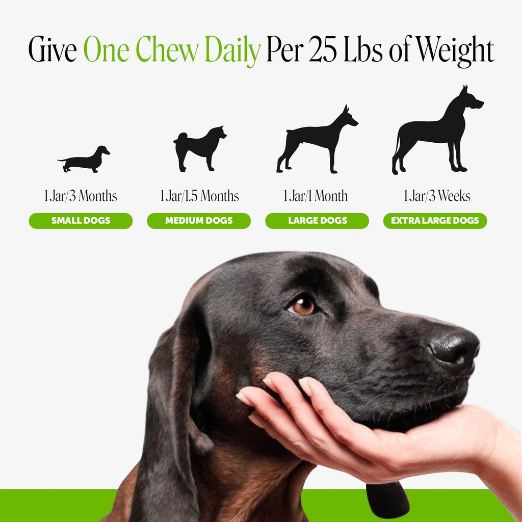 Duck Flavor Dog Probiotic Chews product image 7