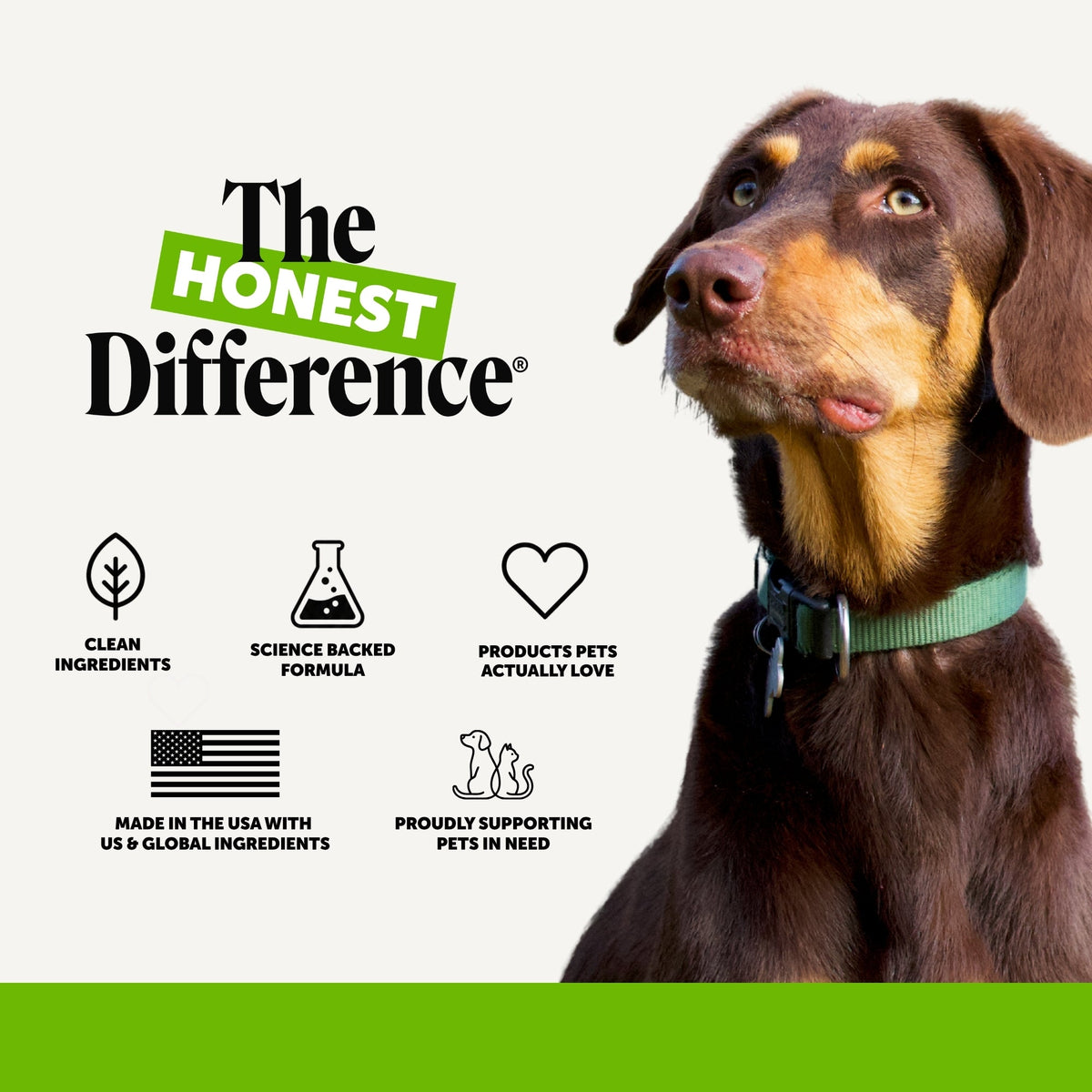 Duck Flavor Dog Probiotic Chews product image 8