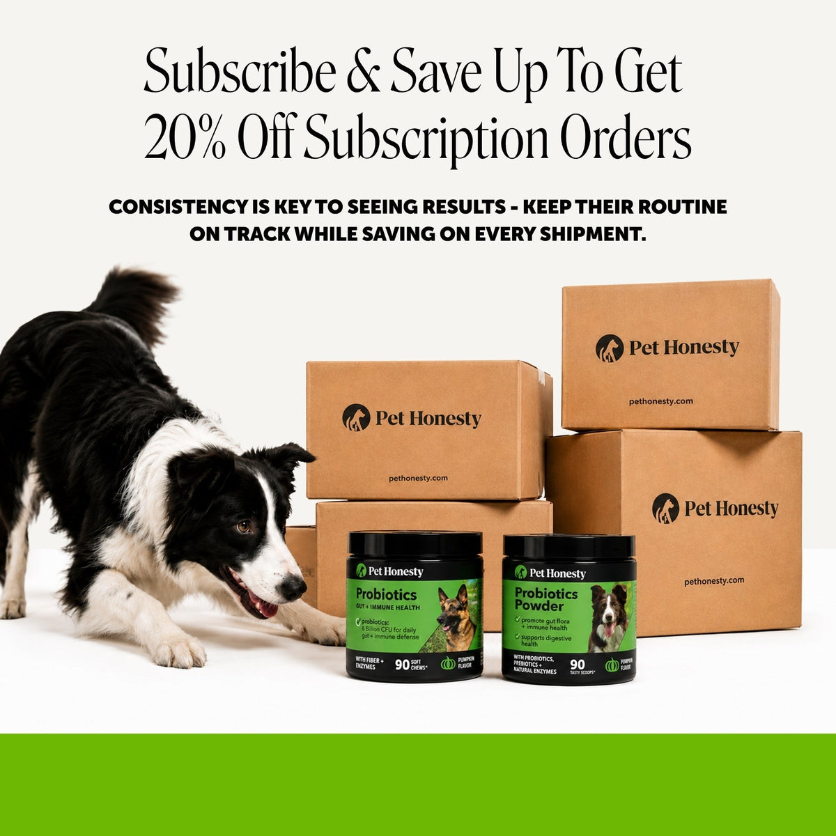 Duck Flavor Dog Probiotic Chews product image 9
