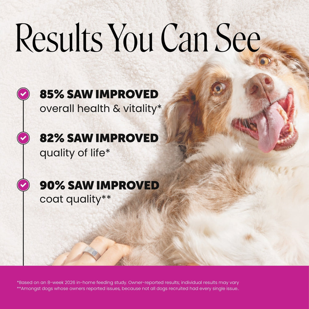 Dog Multivitamins product image 2