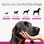 Dog Multivitamins product image 7