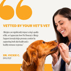 Dog Allergy and Immune Support Soft Chews product image 5