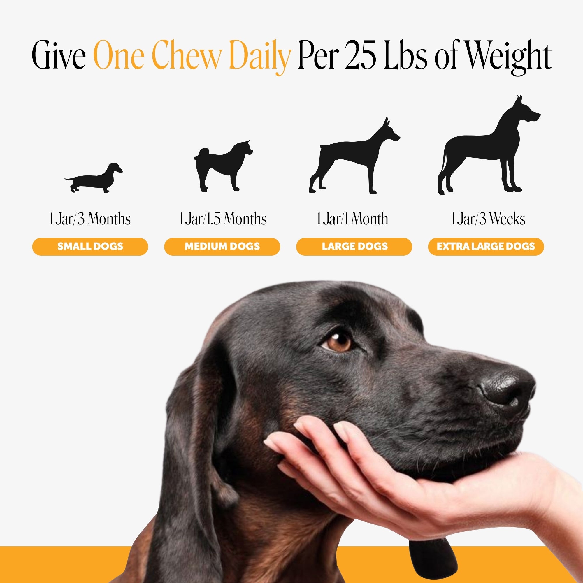 Dog Allergy and Immune Support Soft Chews product image 7