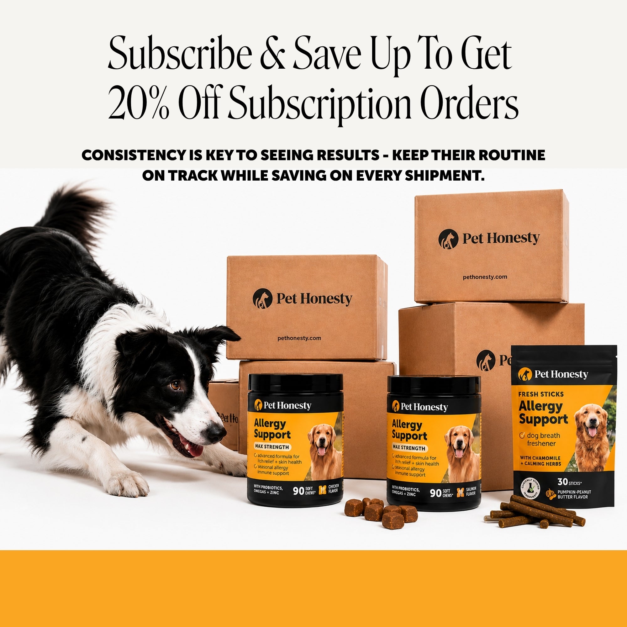 Dog Allergy and Immune Support Soft Chews product image 9