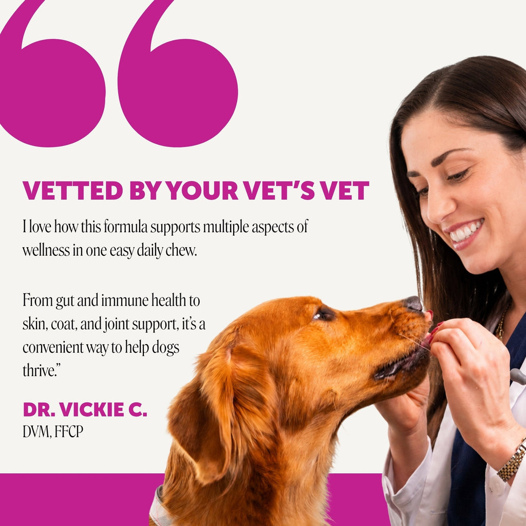 Senior Dog Multivitamin Soft Chews product image 4