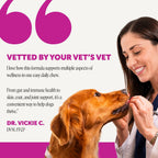 Senior Dog Multivitamin Soft Chews product image 4