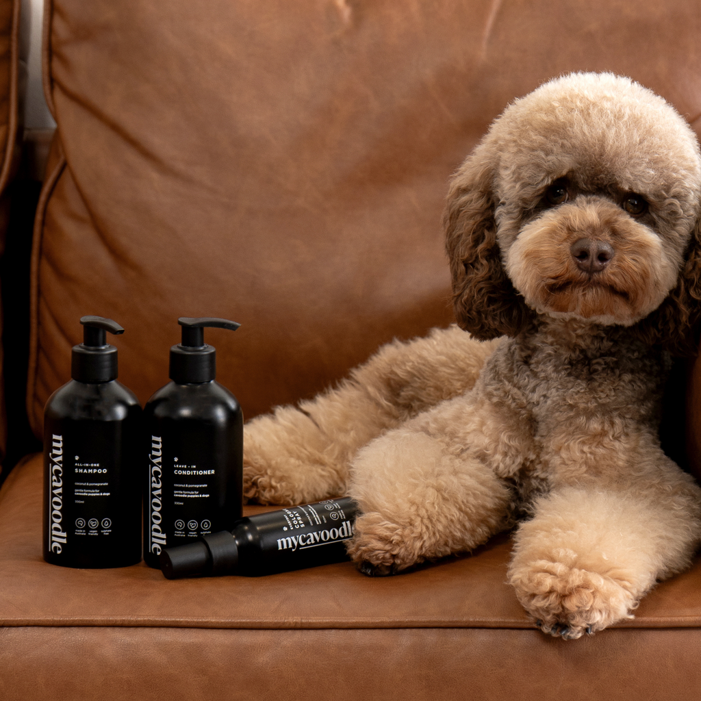 Three-Piece Dog Grooming Set product image 2