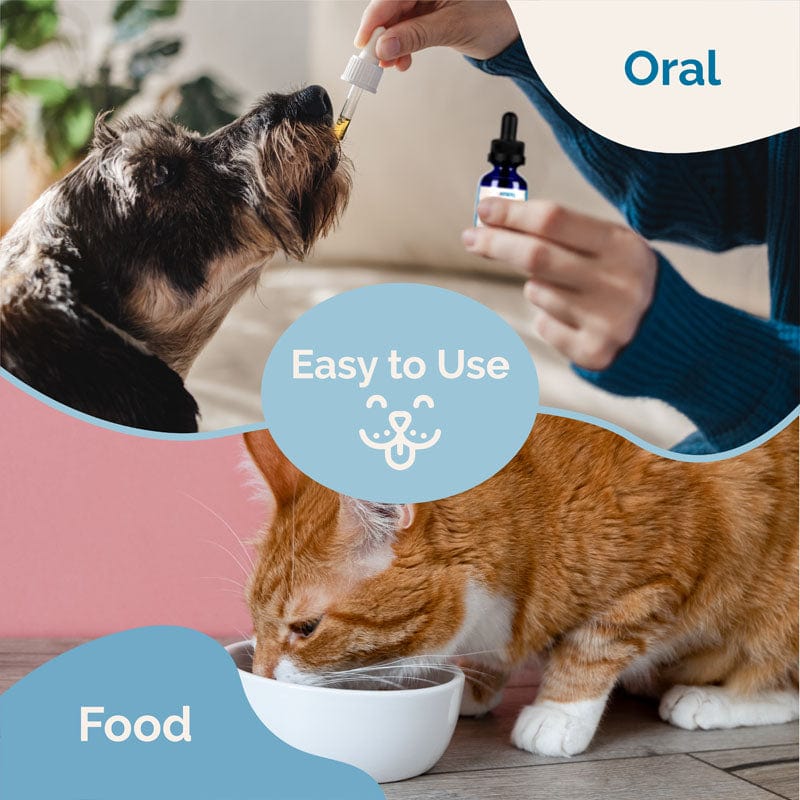 Herbal Dog Antiparasitic product image 7