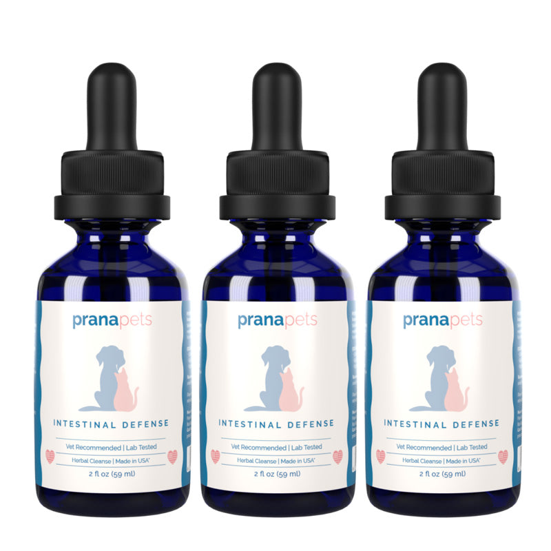 Herbal Dog Antiparasitic product image 9