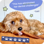 Dog lying on a brown cushion with a blue speech bubble and paw print graphic.