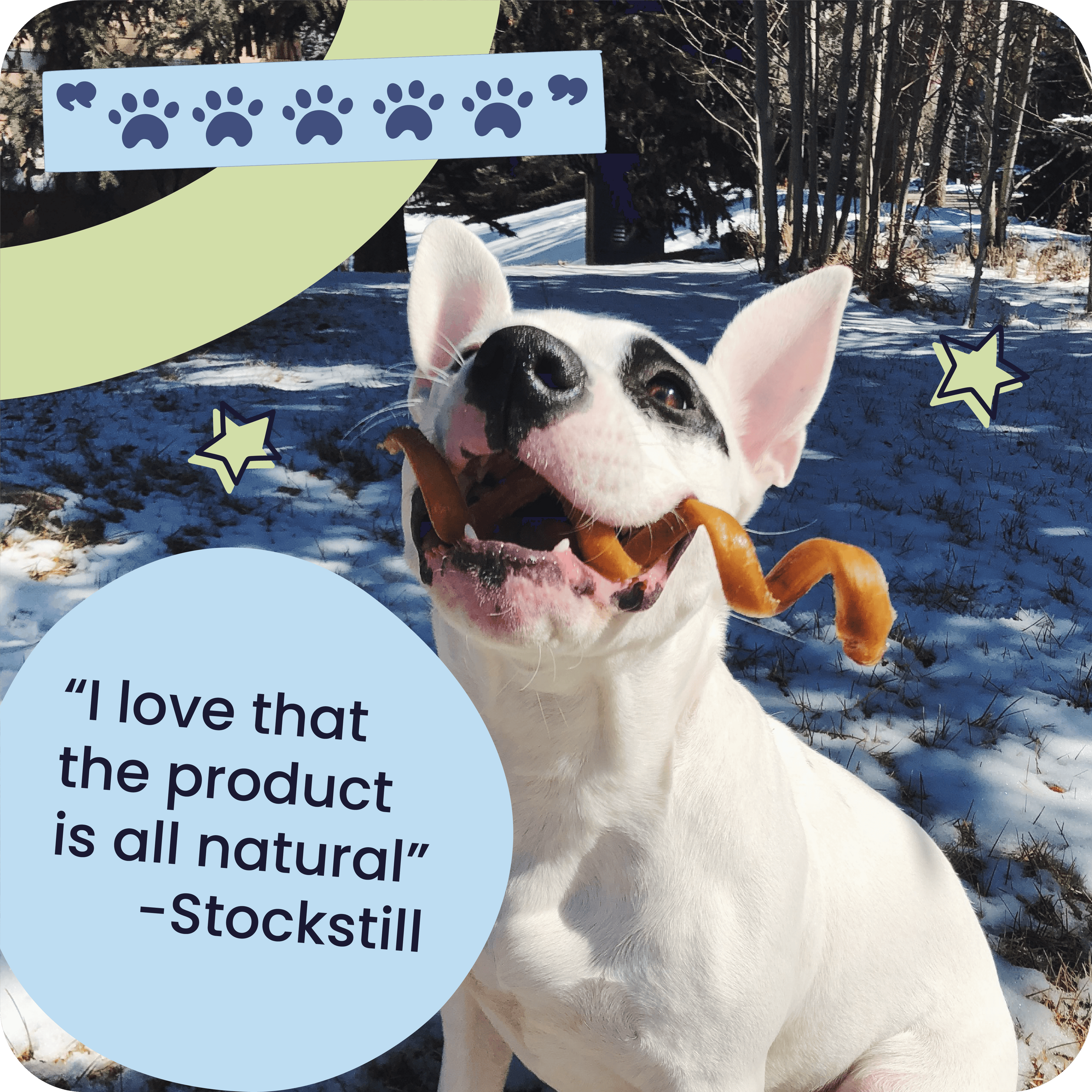 Dog holding a chew in a snowy outdoor setting with text and graphics overlay.