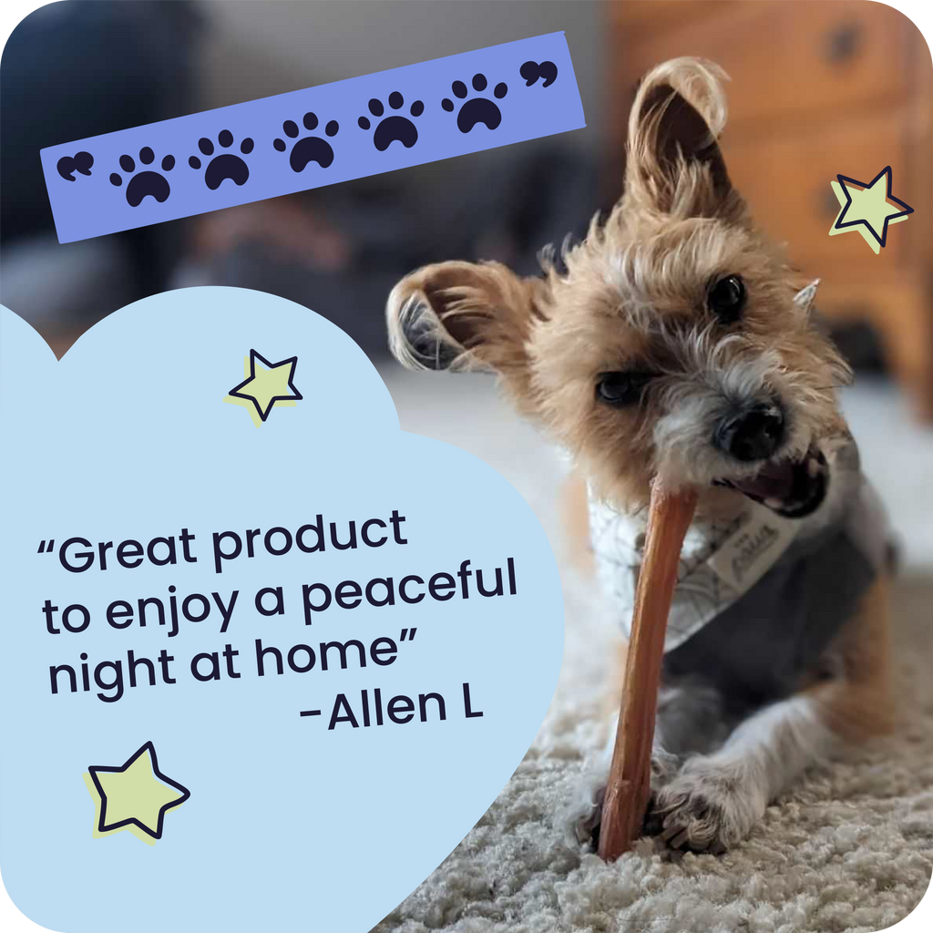 Dog chewing on a treat with a review quote and star graphics