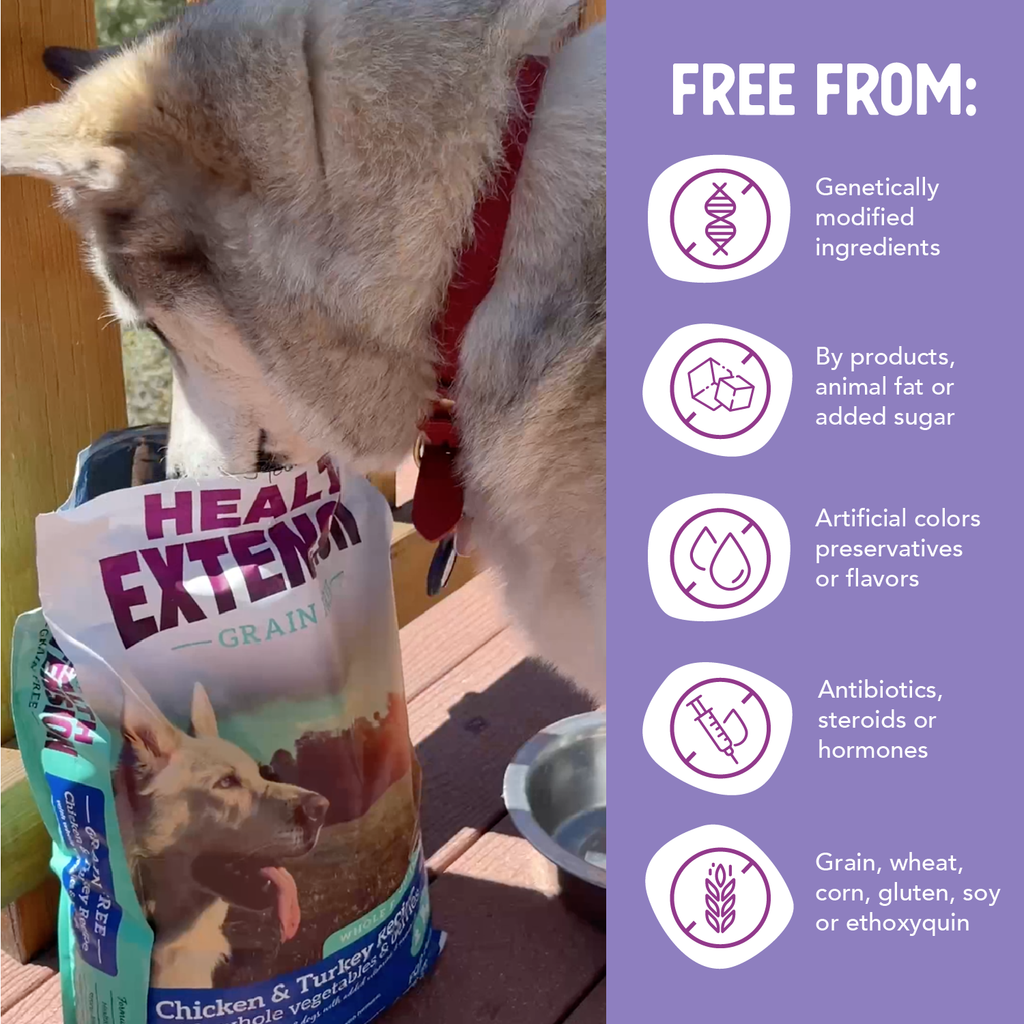 Dry Dog Food product image 7