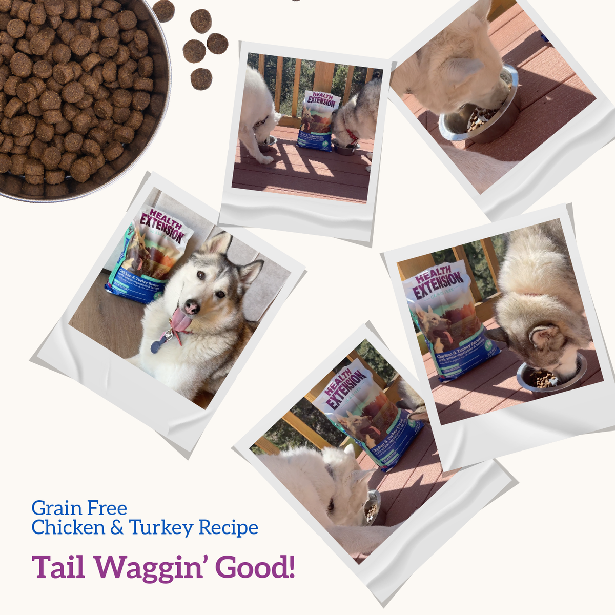 Dry Dog Food product image 9