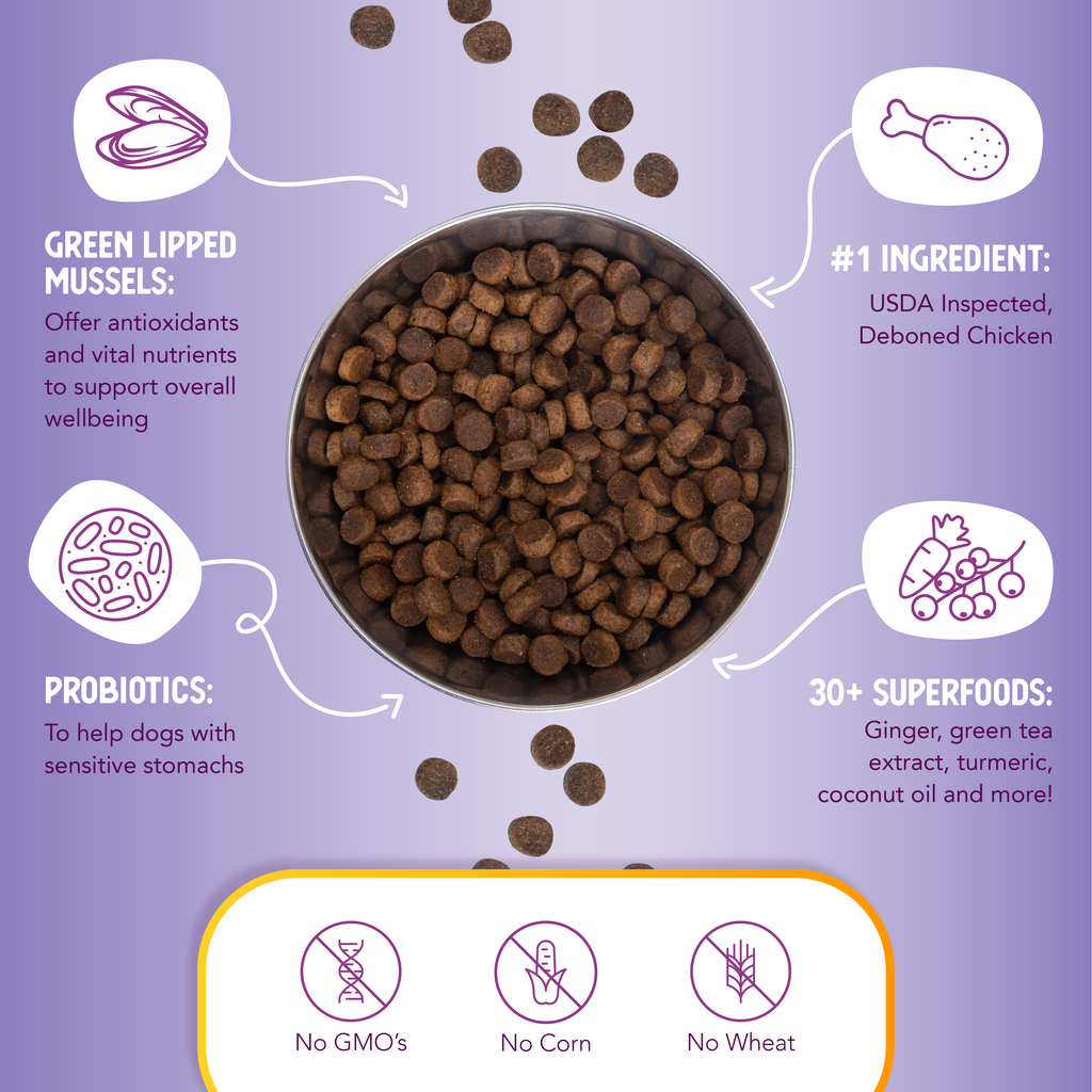Dry Dog Food product image 6