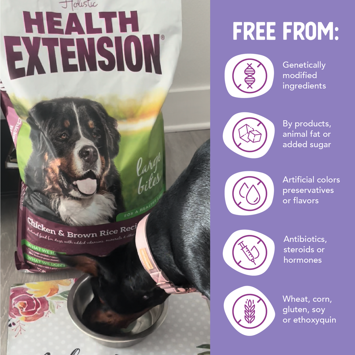 Dry Dog Food product image 7