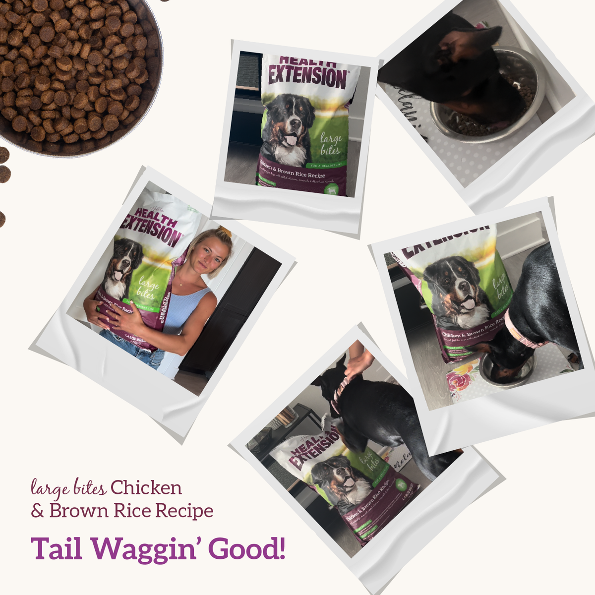Dry Dog Food product image 9