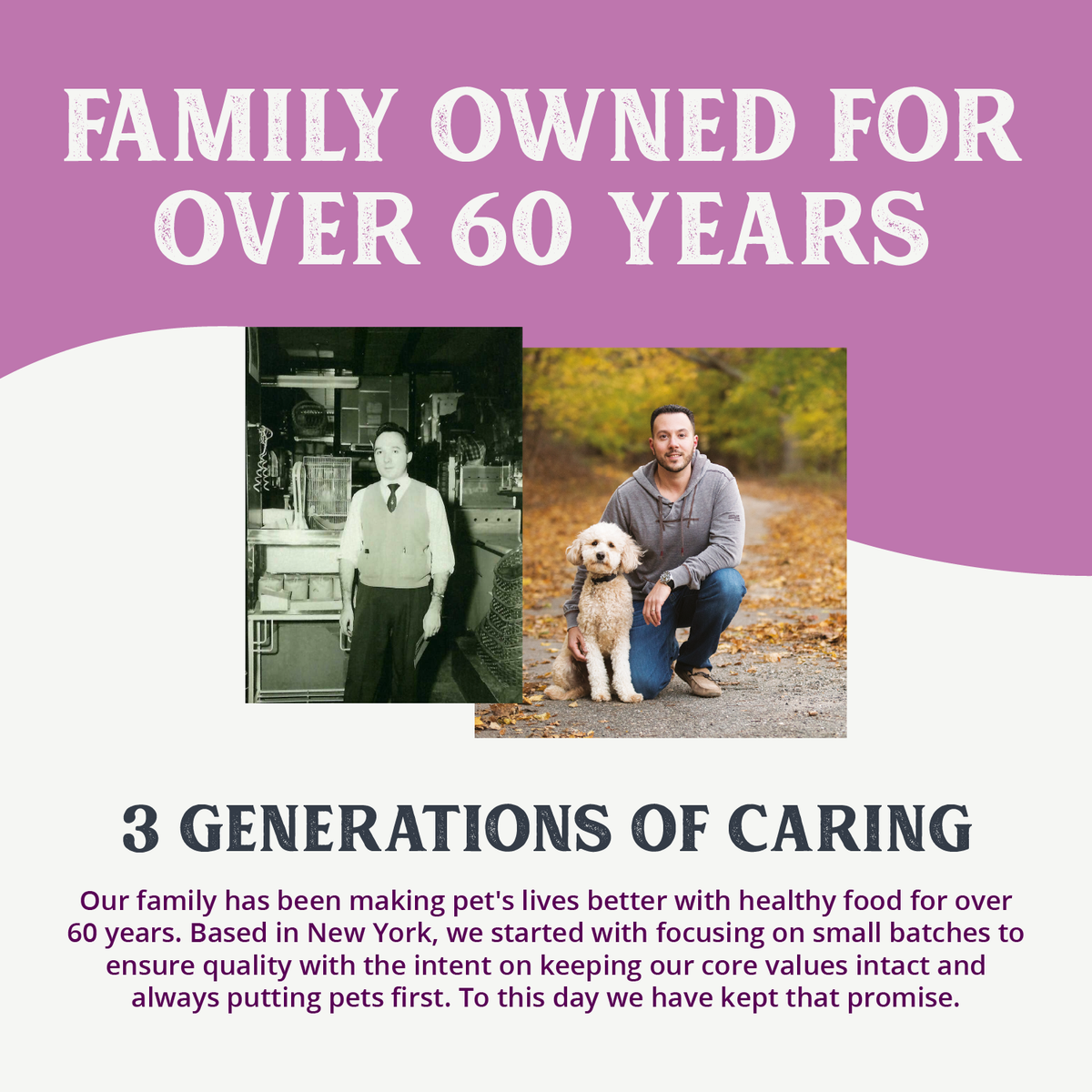 Canned Dog Food product image 8